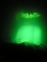 Light beam from Cenote Calavera entrance in algae season