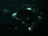 Pesky little fishies in Cenote Calavera