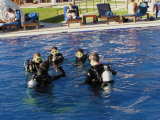 Dive training in the pool