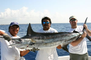 Marlin caught fishing from Puerto Aventuras